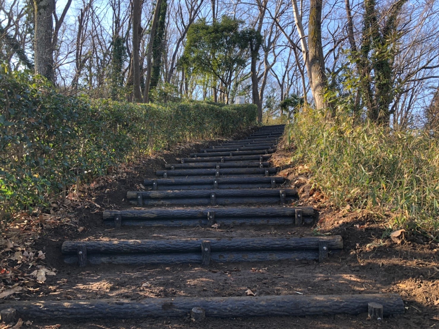 舞岡公園園路改良工事