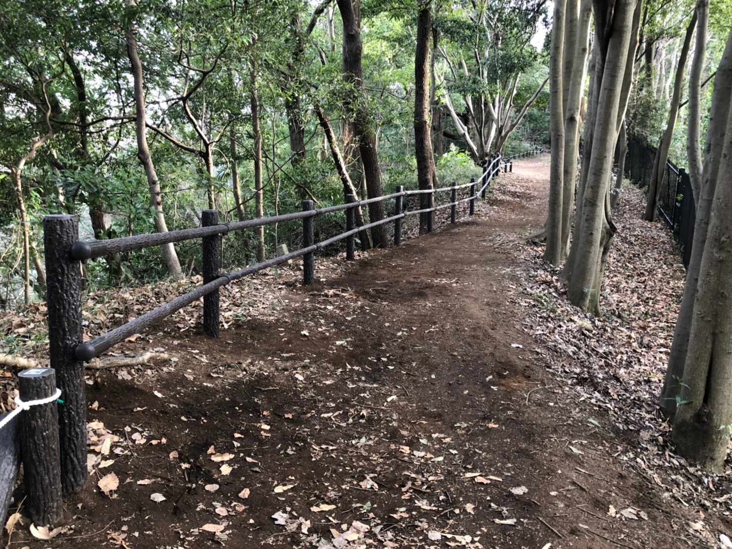 舞岡公園園路改良工事
